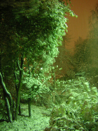 Первый снег