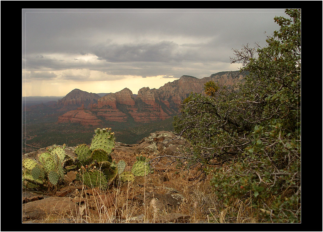 Red Rocks