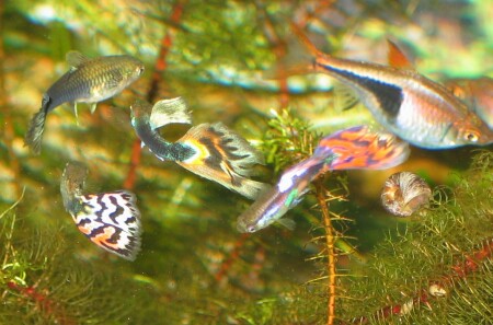 Ох уж эти женщины...