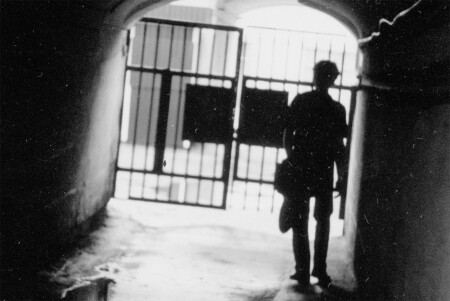 Белый, белый день