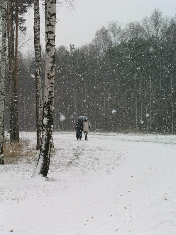 первый снег