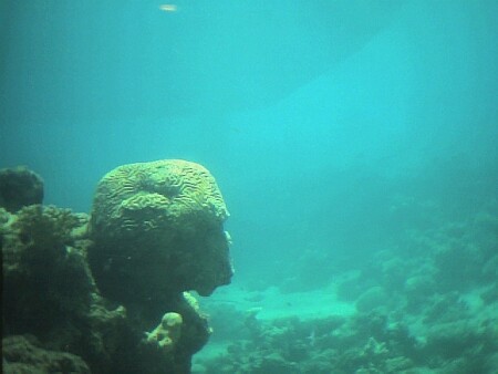 мор.пришелец.