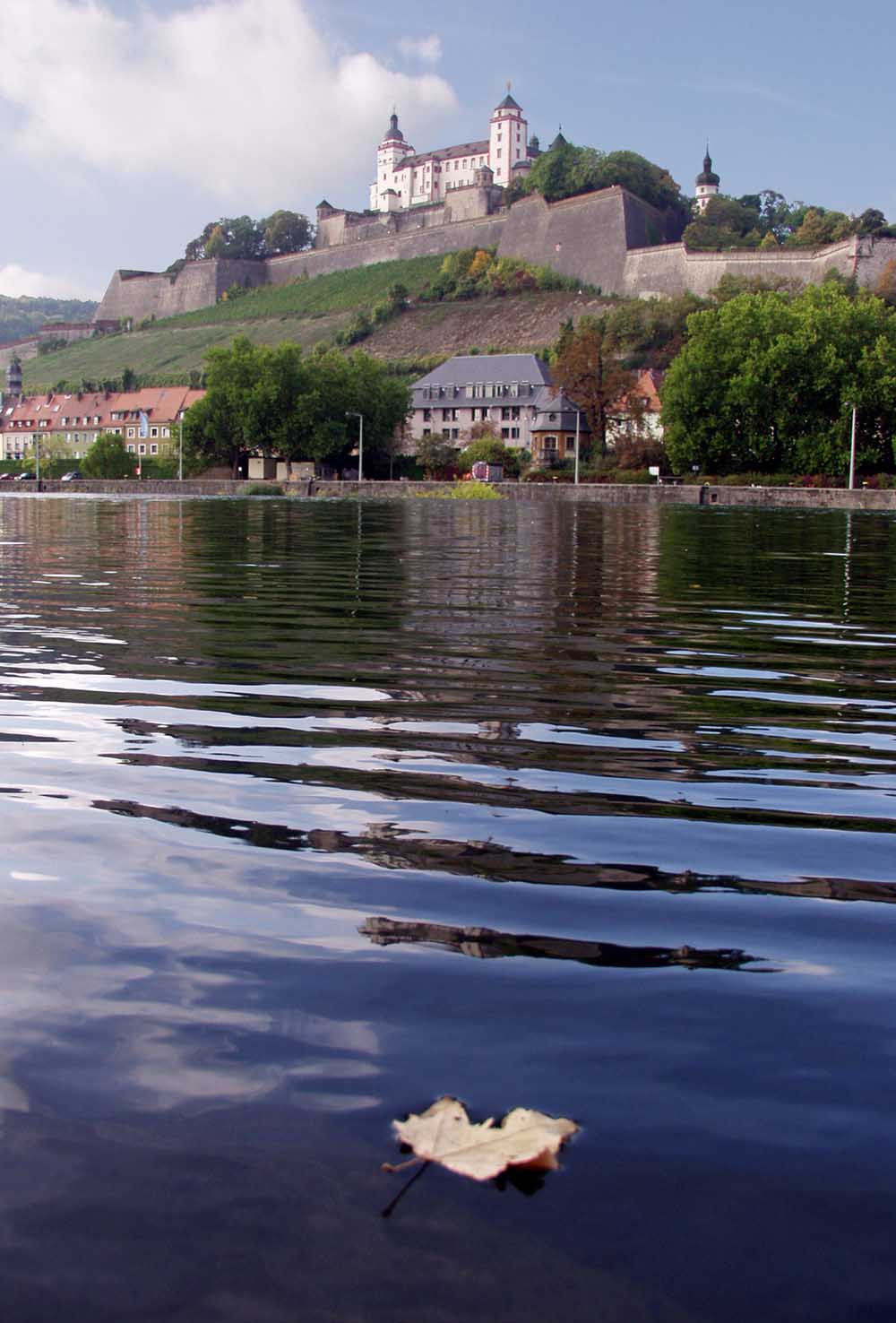 Wuerzburg. Listik na Mayne