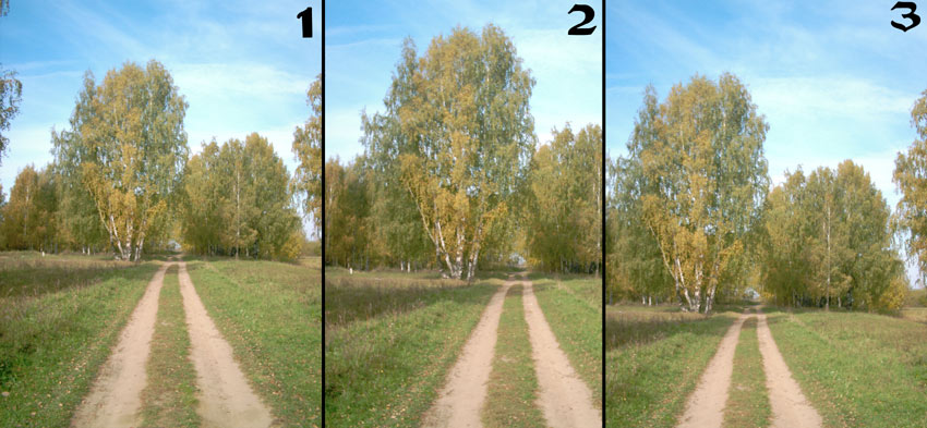 дорожка