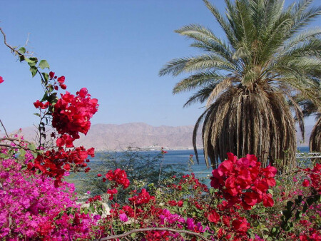 Eilat. Красное море