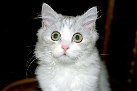 удивили... :)