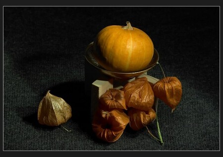 Тыквенная тема