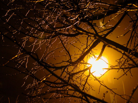 Туман. Гололедица (1)