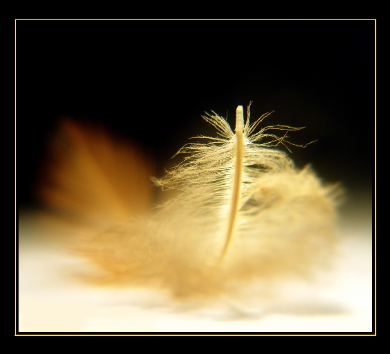 Softness