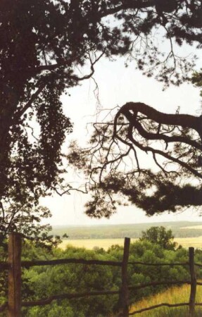 Поленово. Плетень.