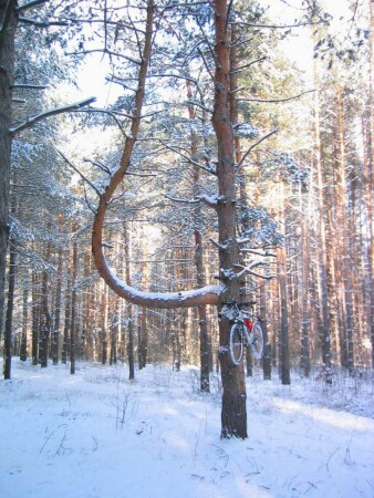 фото на четвёрку ;)