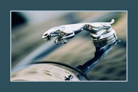 Вечный прыжок