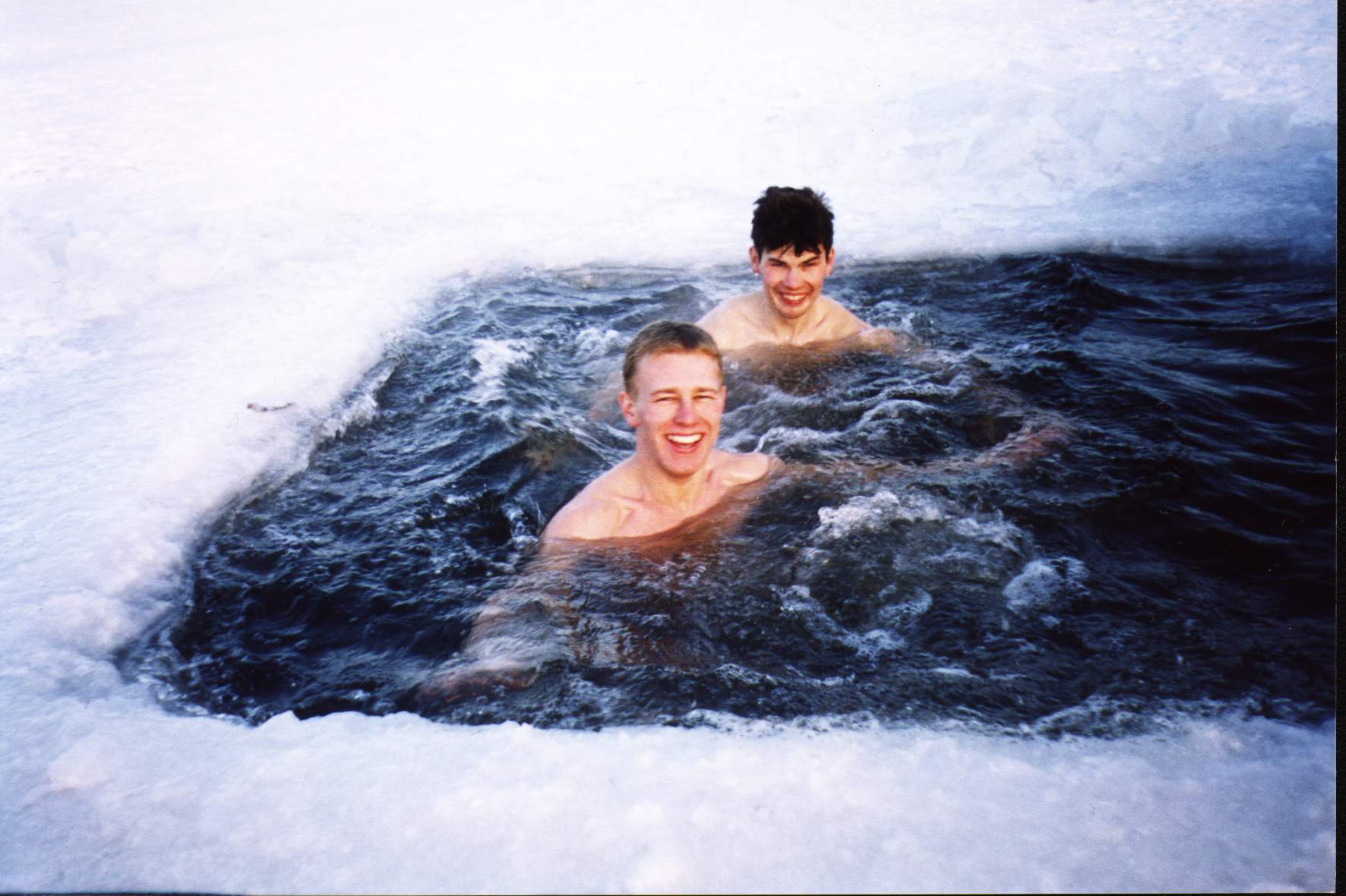 моржи