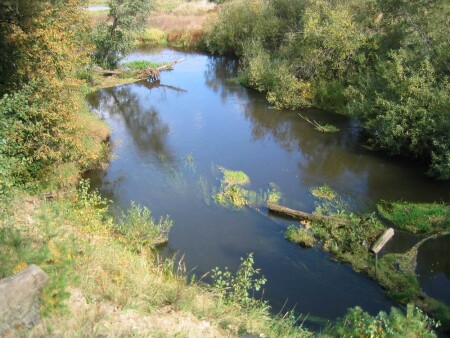 на излучине