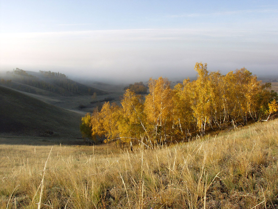 Ушедшая осень