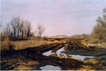 Эх, дороги...