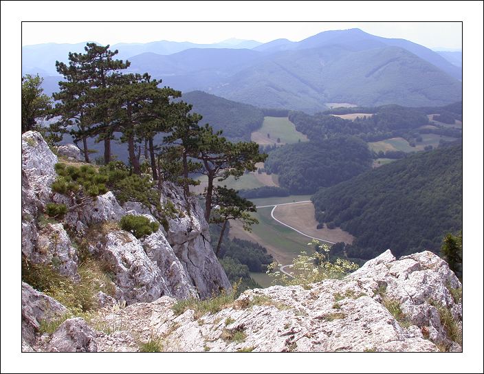 Летняя горная бродилка