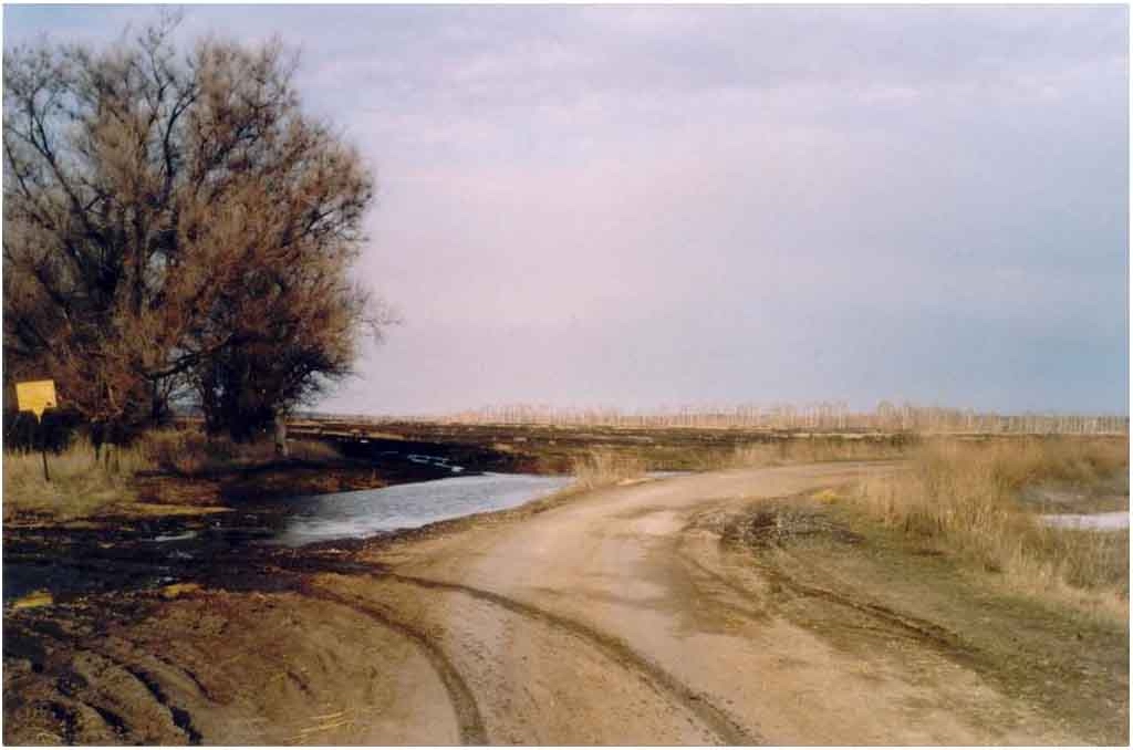 Эх, дороги (продолжение)