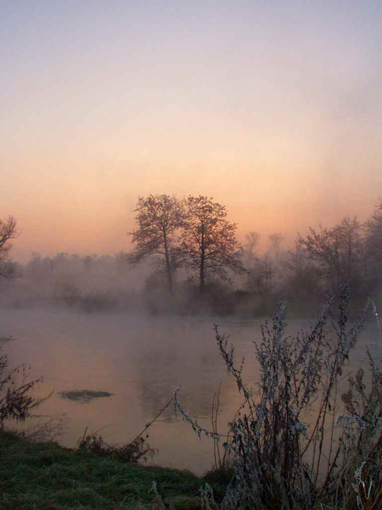 Подмосковный вечер