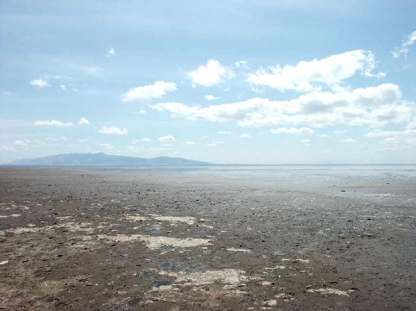 dead lake