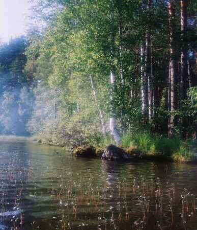 Запахи ушедшего лета.