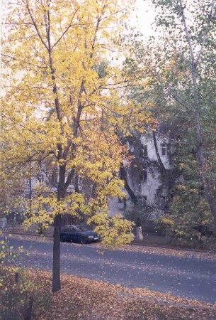 Осень в г. Алматы