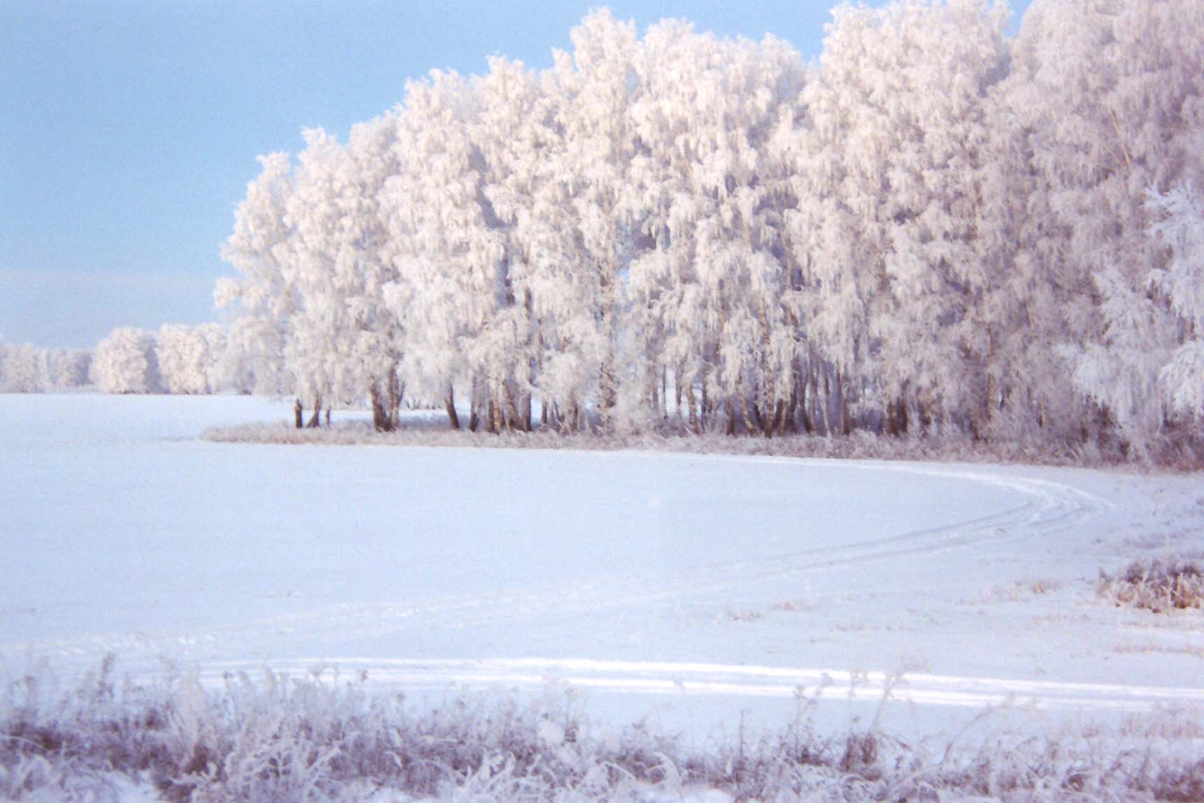 Пришла зима. Зиме дорогу.