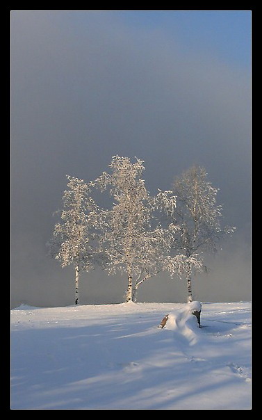 3 сестры