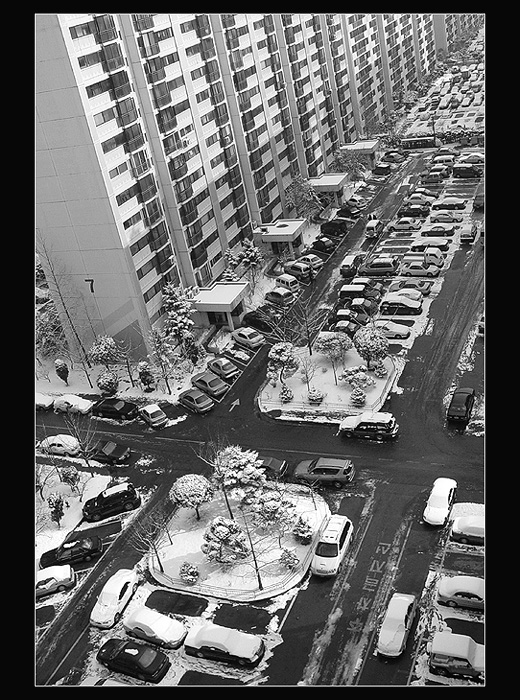 Первый снежок.
