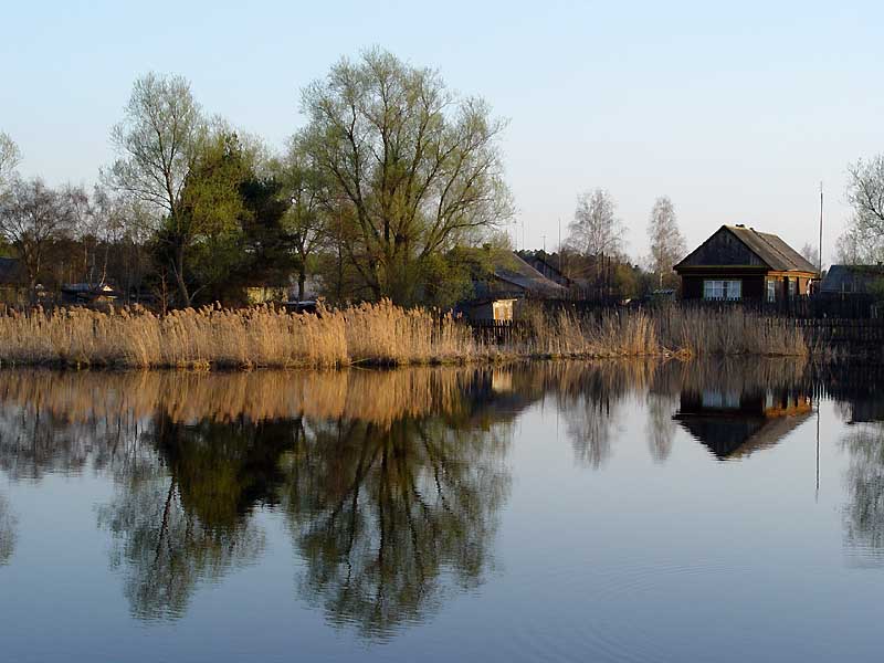 Векса