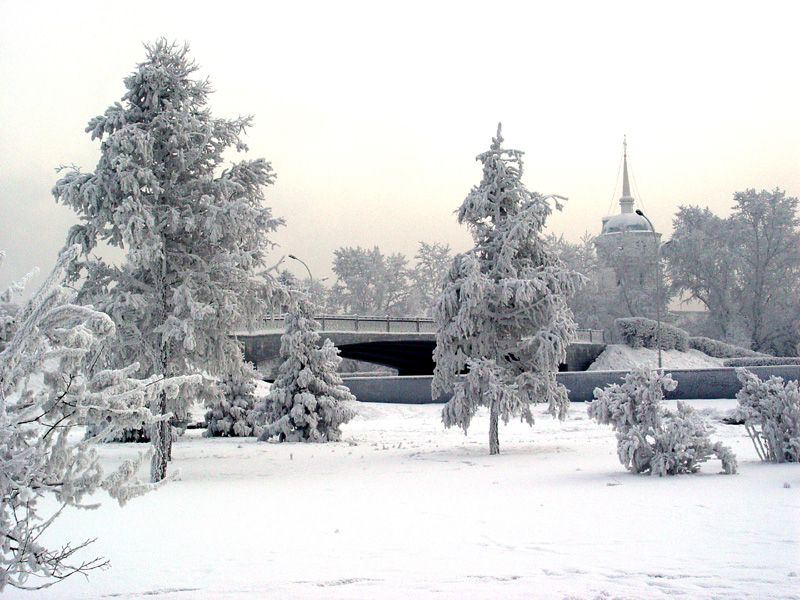 Зимний полдень