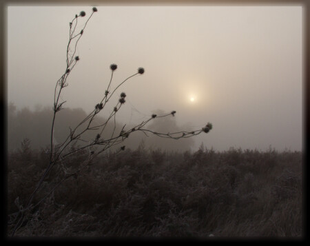 Начало осеннего дня