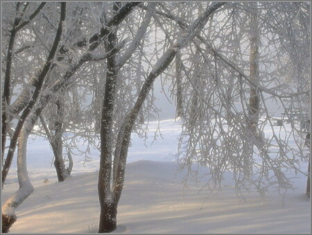 Туманные кружева