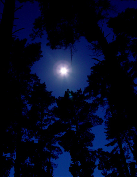 night shot