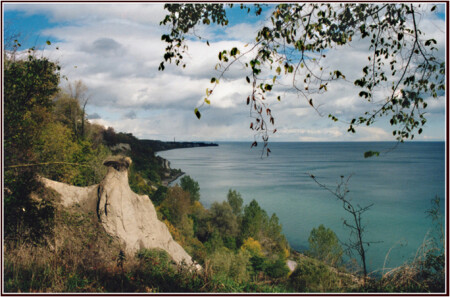 У лукоморья