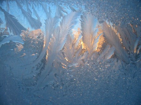 Зимняя сказка