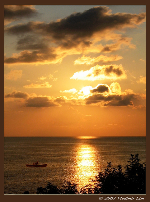 In dance of golden colours 