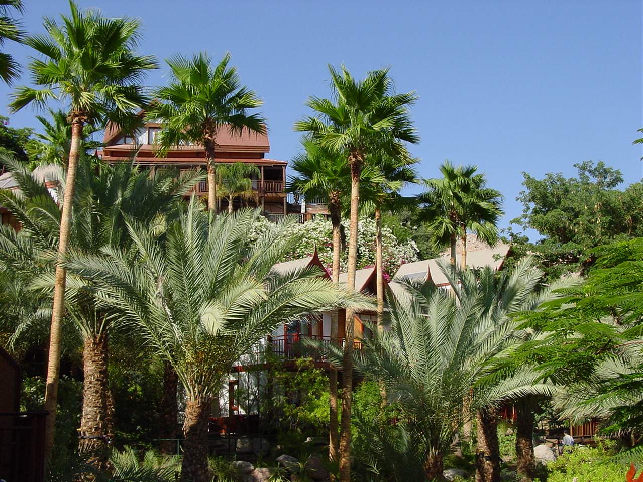Eilat. Домики тайландском стилье