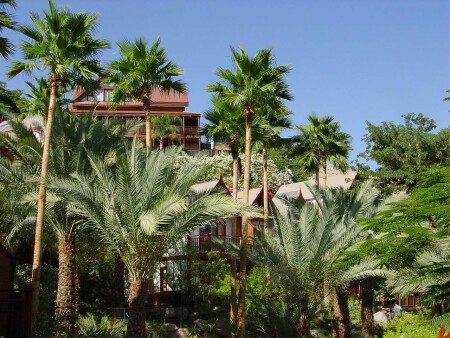 Eilat. Домики тайландском стилье