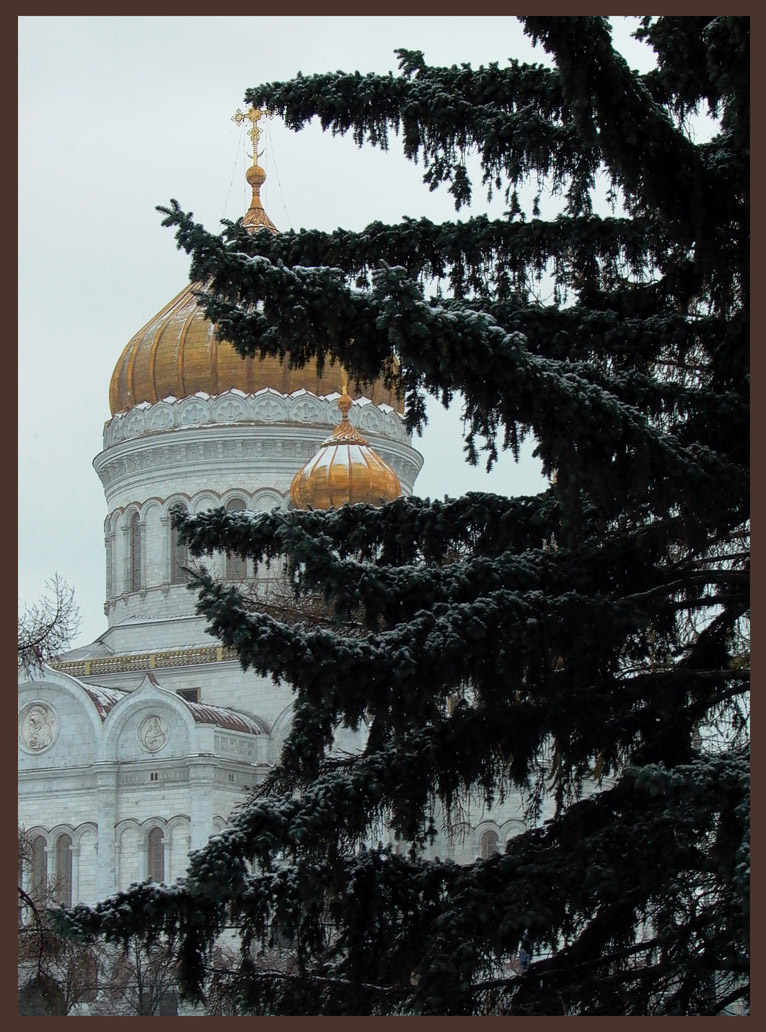 Под елочкой