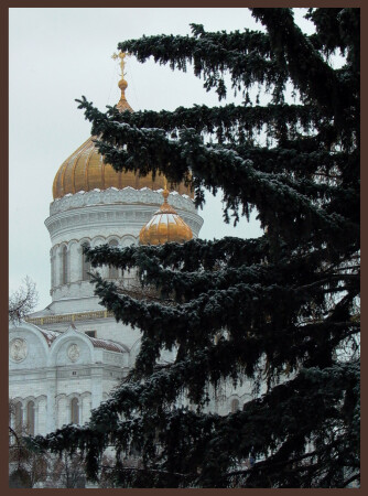 Под елочкой
