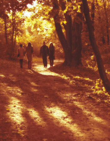 случайный денек