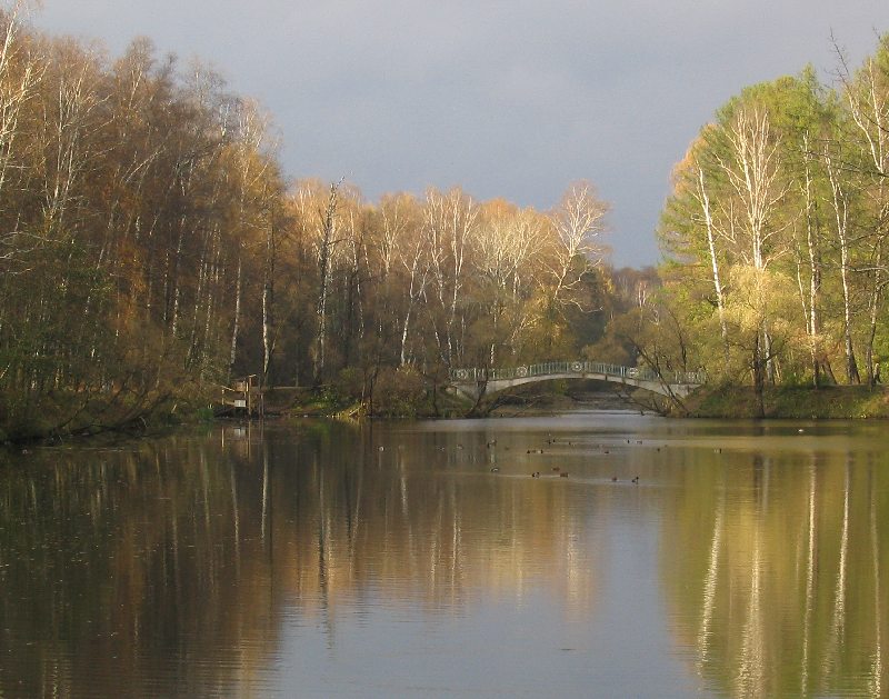 золотая осень