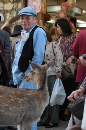 люди и звери