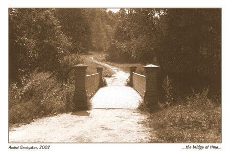 Старый мост