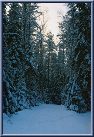 Прошлогодний снег (зима 2002г.)