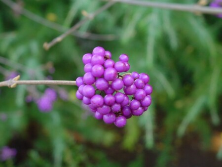 странные цвета осени
