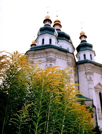 Устремление