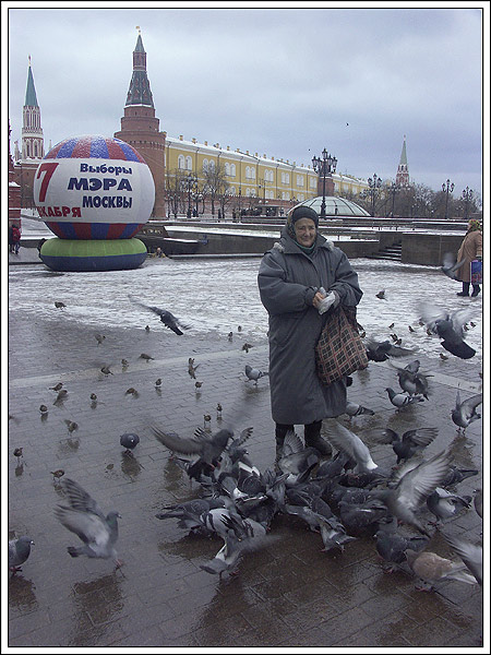 Последняя электоральная