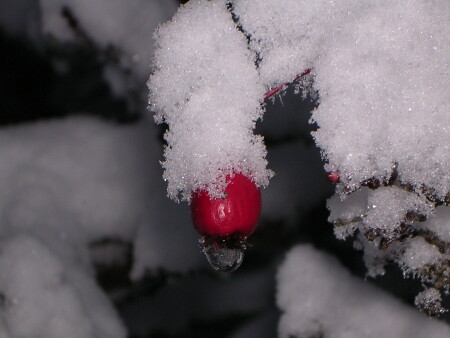 Улыбка Вселенной